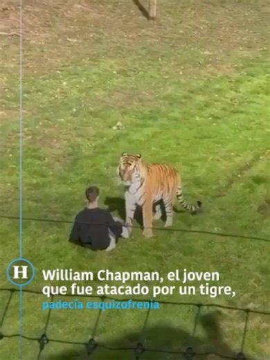 William Chapman, el joven que fue atacado por un tigre, padecia esquizofrenia | #Contexto #ST