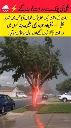 Deadly Lightning Storm at Night! Trees Destroyed in Seconds ⚡🌪️ #globalwarming #climatesos #viral