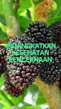 7 MAGICAL HEALTH BENEFITS OF MULBERRY #shorts #helthbenefits #antioxidant #anthocyanins #digestion