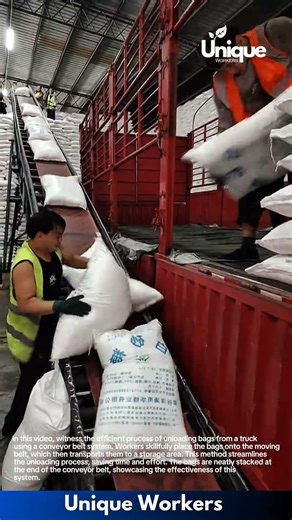 Efficient Bag Loading: Workers Use Conveyor Belt to Unload Truck