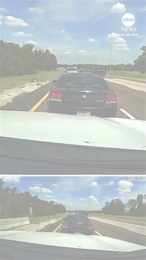 Florida deputies use grappler to capture fleeing driver
