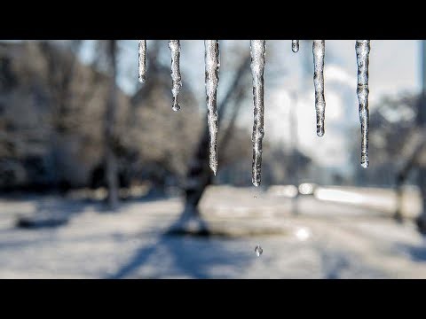 Looking through the weekend weather forecast