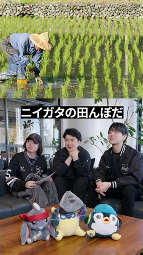 VALORANTアハ体験に挑戦