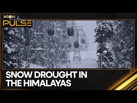 Himalayas' Historic Snow Drought Deepens Crisis | WION Pulse
