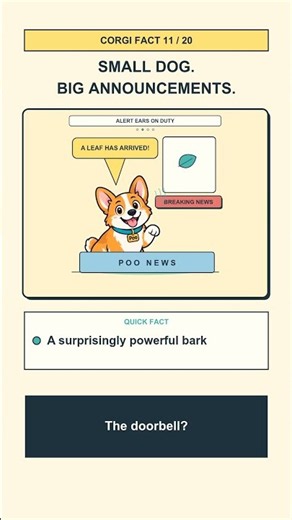 Tiny Corgi. Giant Cows. Who’s the Boss? 🐶🐄