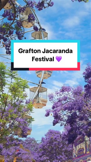 A little purple, a lot to explore. 💜 The @Grafton Jacaranda Festival is bringing colour to the streets from 30 October - 8 November in Grafton with a host of events and fun to be had. It’s a great time to plan a trip to Clarence Valley and discover what else is waiting beyond the blooms. Here are more ways to spend your time: 🎨 Explore the local art scene at Grafton Regional Gallery with works by Australian artists. 🌉 Take in the river views and walk across Grafton’s iconic Bendy Bridge. 🏛️ 