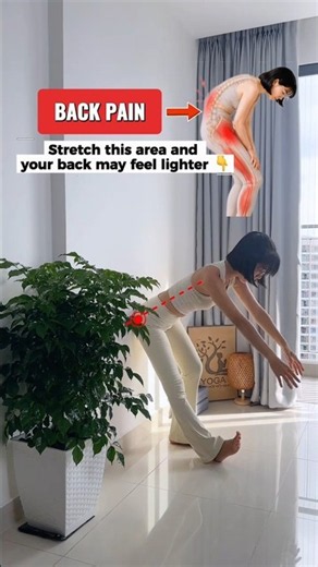 Hamstring Stretch for Lower Back Pain Relief | Release Tight Back & #lowerbackpain #backpainrelief