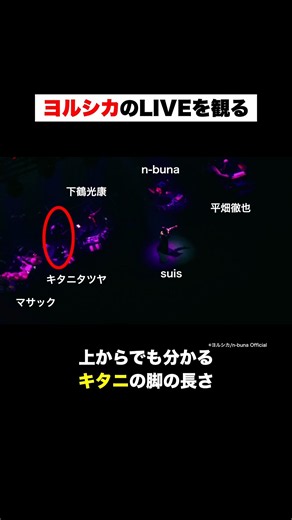 ヨルシカのLIVEが凄い...