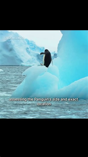 This penguin only took a quick nap, and woke up surrounded by orcas. #wildlife