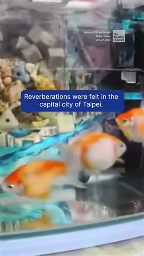 Pet Fish Sloshed Around By Quake