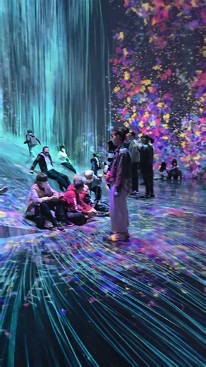 teamLab Borderless' Universe of Water Particles on a Rock Where People Gather - Tokyo, Japan