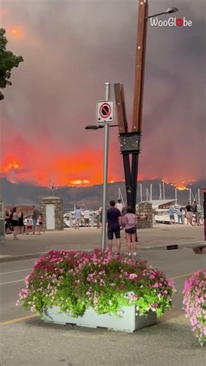 McDougall Creek Wildfire 2023: West Kelowna's Fiery Battle || WooGlobe