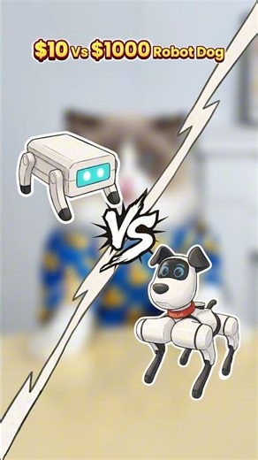 Robot dog competition! #thatlittlepuff