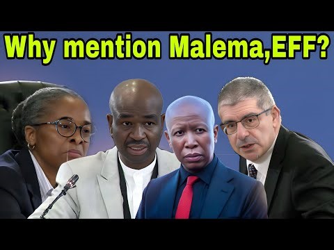 Adv Chaskalson & Commissioners press Dhlamini on linking EFF, Malema to Tenders.
