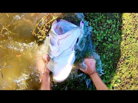 The BIGGEST BASS of the YEAR!!