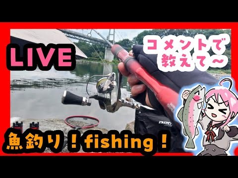 釣るぞ！エリアトラウト生放送 🎣ԅ( ˘ω˘ ԅ)教えて下さい #ｴﾘｱﾄﾗｳﾄ #VTuber #魚釣り #fishing #管釣り #Vチューバー 2026.10.07
