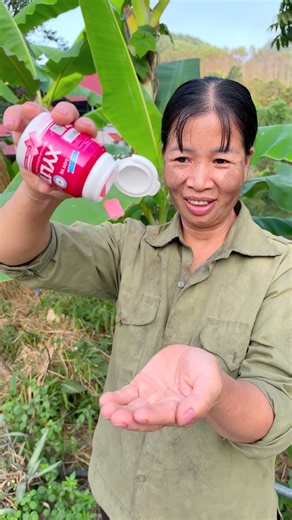 🍇🍈 Harvesting Grapes and Honeydew Melons – A Fun and Delightful Day of Gardening! 😍🌿