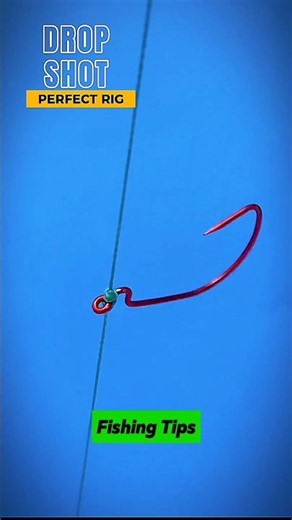 STOP Losing Fish! Perfect Drop Shot Rig Setup for More Bites! 🎣