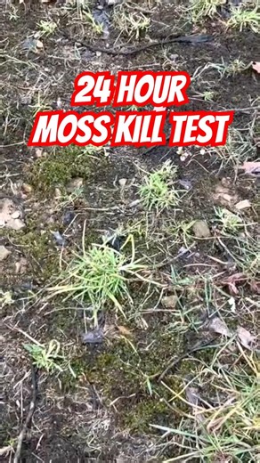 24 Hour Kill Test 💀