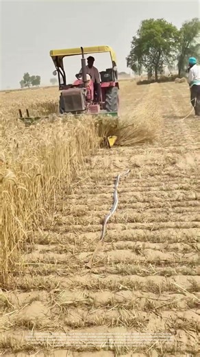 Reaping the Harvest: How Modern Tractors Streamline Farming Efficiency