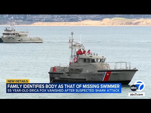 Body discovered after swimmer went missing in possible CA shark attack