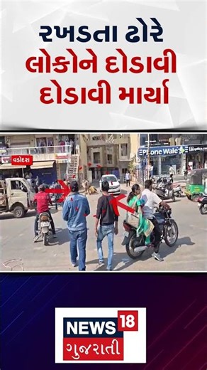 Vadodara Stray Cattle News | રખડતા ઢોરે લોકોને દોડાવી દોડાવી માર્યા | Gujarati Samachar #shorts
