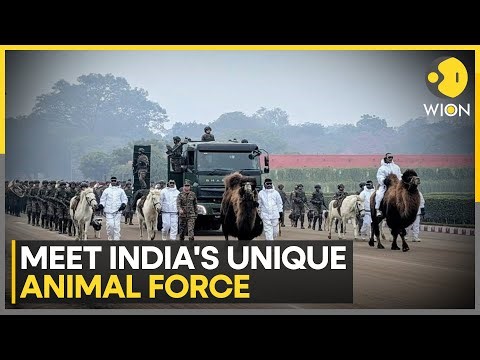 Republic Day 2026: From Battlefields to Kartavya Path Four-Legged Warriors to Debut at R-Day Parade