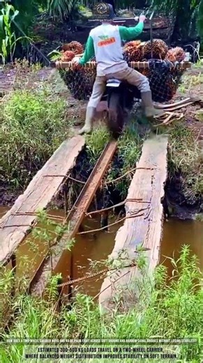 Palm Oil Production Process Across Narrow Plantation Routes