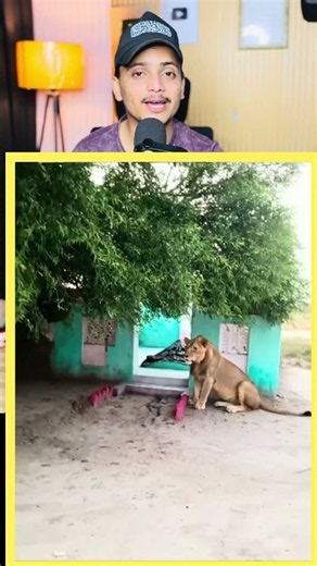 Dargah Mein Sher Hai 😳