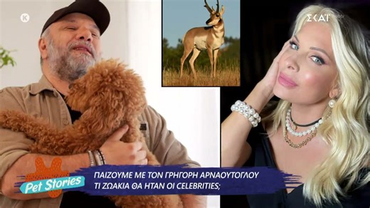 Παίζουμε με τον Γρηγόρη Αρναούτογλου: Τι ζωάκια θα ήταν οι celebrities;