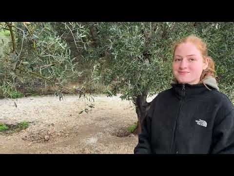 The New Family’s Reaction When They Saw Food! - Takis Shelter