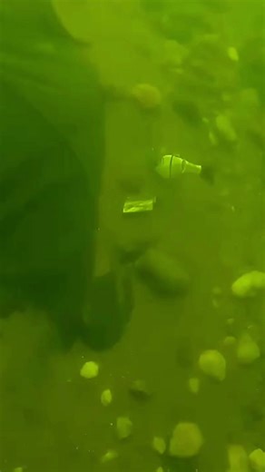 Scuba Diving for Treasure Underwater