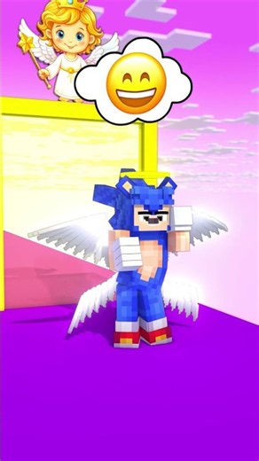 Sonic vs Shadow: The Angel and Devil Runway Challenge