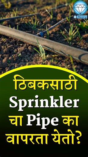 💧🌱 ठिबकसाठी Sprinkler चा Pipe का वापरता येतो ? ! #agriculture #farming #drip #pipe #ytshorts