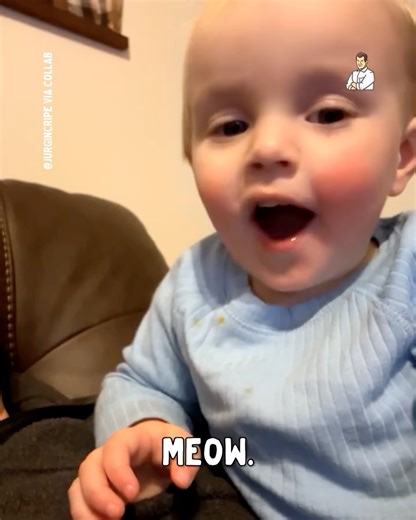 This kid has got jokes! | Dad Jokes