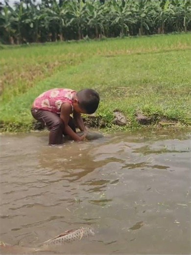 Amazing Boy Catching Fish By Hand