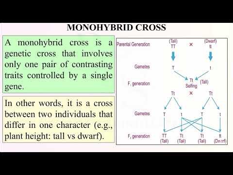 PRINCIPLES OF INHERITANCE: TERMINOLOGY 