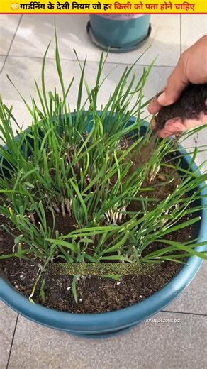 😳Smart ways to grow vegetables at home #organicfarming #ytshorts #garden