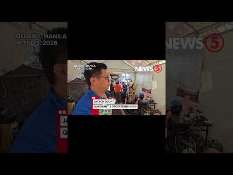 🎮 Welcome to Python Knight Channel!