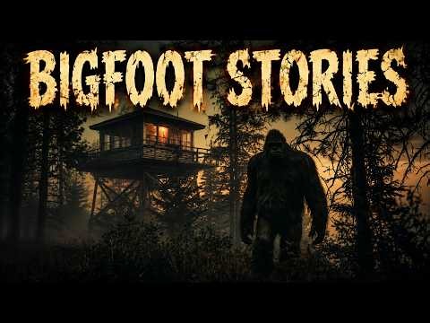 Scary Bigfoot Stories That Will Keep You Out of the Woods | Sasquatch Encounters