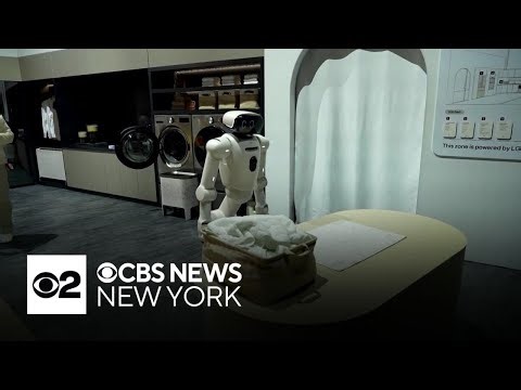 A look at the latest AI gadgets at CES 2026