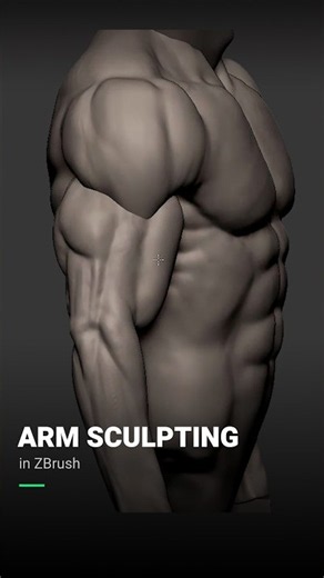 Are You Sculpting Arms the Right Way? | ZBrush Arm Sculpting