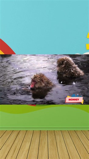 Cute Animal Moments: Elephant, Lionfish, Blue Jay - Animals Sounds - Peaceful Animal Sounds