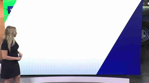 Record heat wave expected in South Carolina