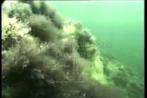 Crimean Odyssey. Part 1