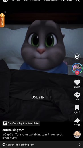 Talking Tom meme animation — credit to original creator