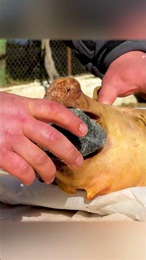 Meat Roasting: Beef, Pork, Lamb, and Steak