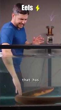 Are Electric Eels Alien? The Real Science