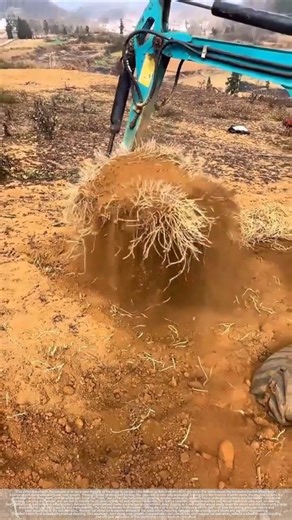 Digging up Houttuynia cordata (fish mint) – good tools and machinery improve work efficiency.