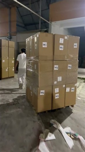 🎄 From Peak-Season Pressure to On-Time Shipping | Inside Our Christmas Tree Factory in China